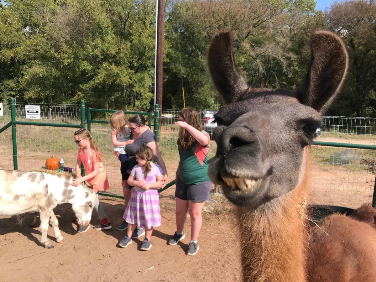 Stay On A 350-Acre Cattle Ranch! Brazos River! Tubing! Petting Zoo! Weatherford Bagian luar foto